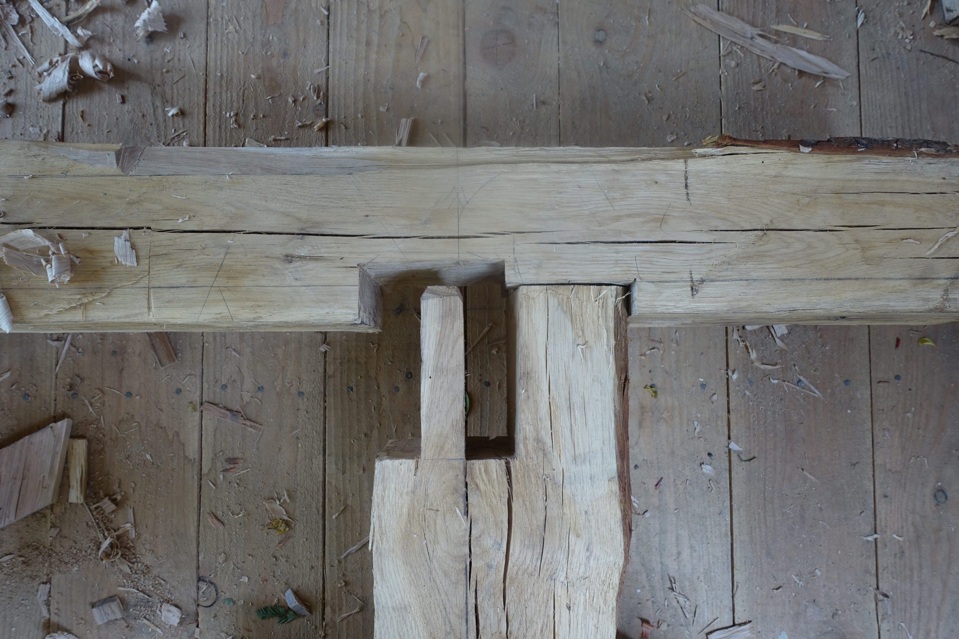 Assemblage tenon mortaise d'un poteau et une panne équarris à la hache