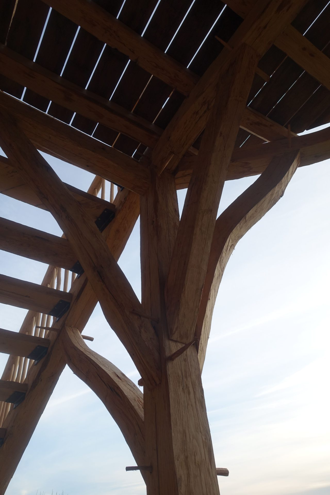 Poteau recevant plusieurs assemblages de charpente traditionnelle (chêne local bien tordu)