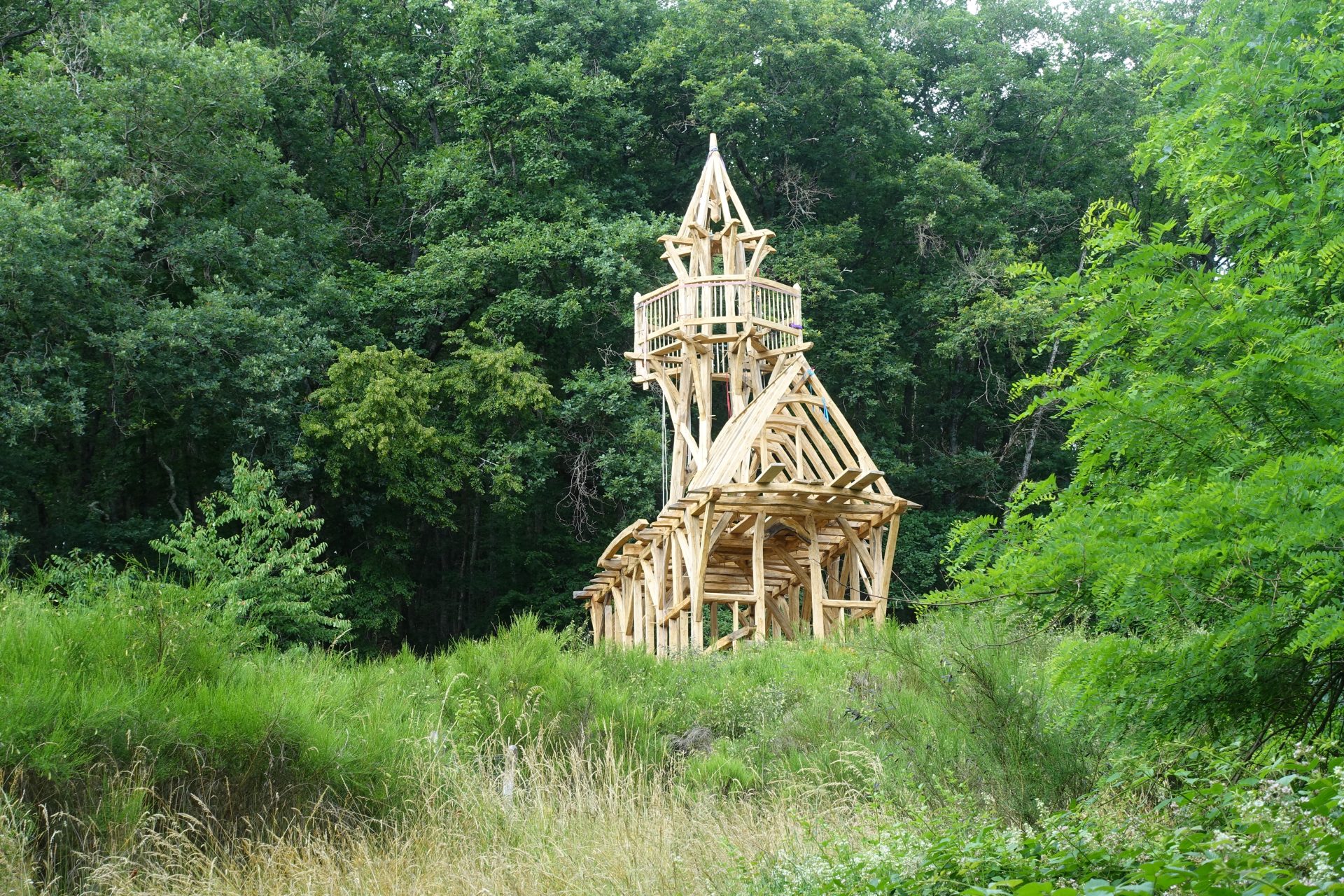 Incroyable cabane sortant des bois, une charpente en bois de brin et assemblages traditionnels